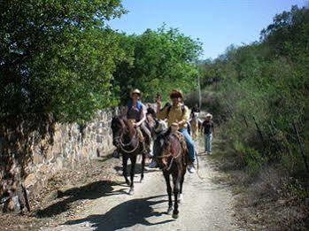 Eco Aventuras Santiago Otel Santiago  Dış mekan fotoğraf